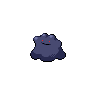 Shadow Ditto